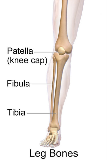 Broken Leg (Tibia & Fibula) Settlement Amounts: Car Accidents & More